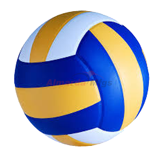 VOLLEY & BEACH BALLS
